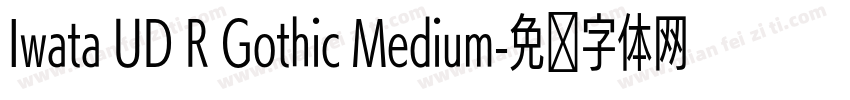 Iwata UD R Gothic Medium字体转换